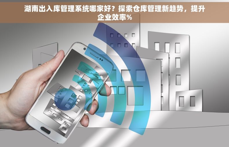 湖南出入库管理系统哪家好？探索仓库管理新趋势，提升企业效率%
