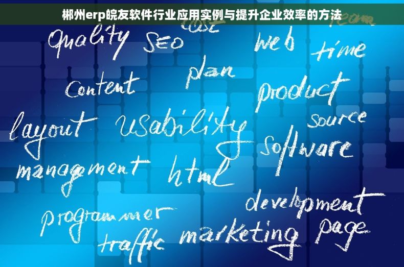 郴州erp皖友软件行业应用实例与提升企业效率的方法
