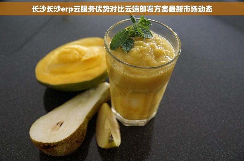 长沙长沙erp云服务优势对比云端部署方案最新市场动态