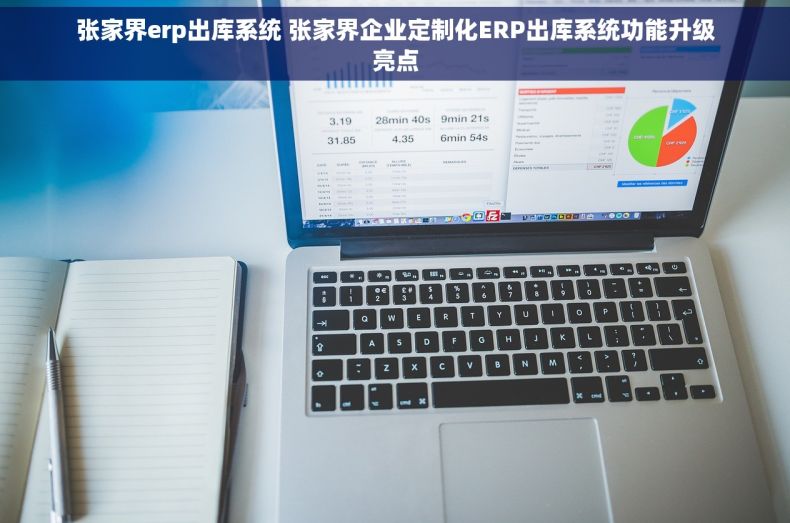 张家界erp出库系统 张家界企业定制化ERP出库系统功能升级亮点
