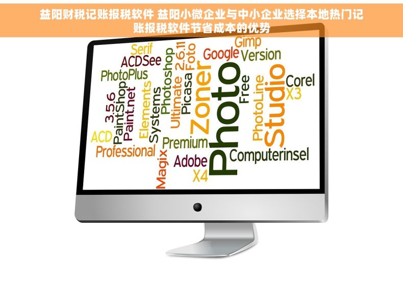 益阳财税记账报税软件 益阳小微企业与中小企业选择本地热门记账报税软件节省成本的优势