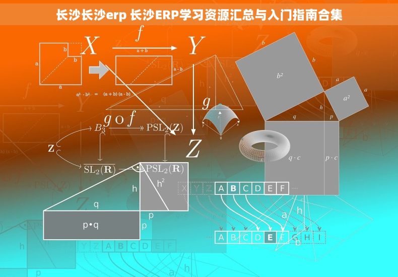 长沙长沙erp 长沙ERP学习资源汇总与入门指南合集