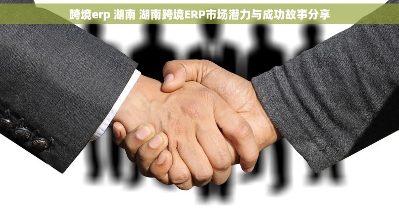 跨境erp 湖南 湖南跨境ERP市场潜力与成功故事分享