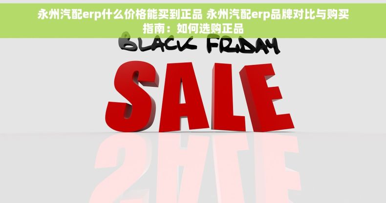 永州汽配erp什么价格能买到正品 永州汽配erp品牌对比与购买指南：如何选购正品