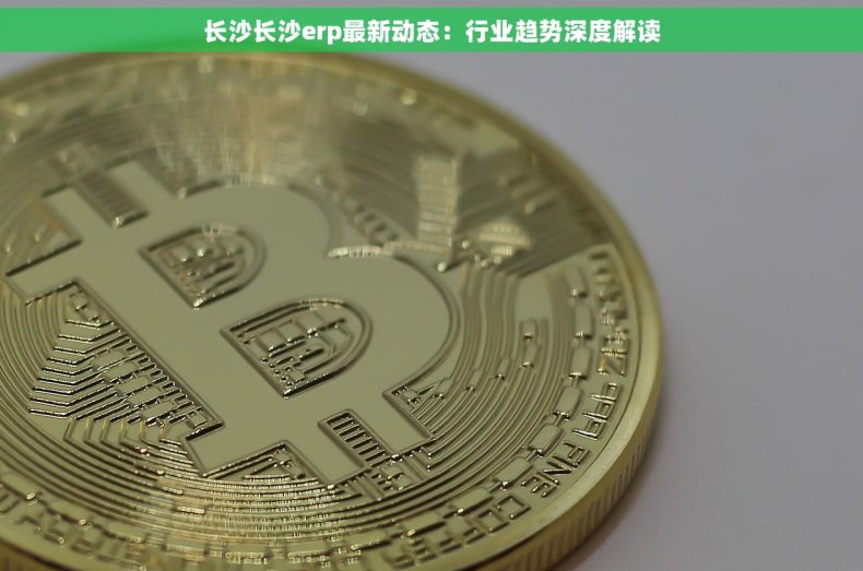 长沙长沙erp最新动态：行业趋势深度解读