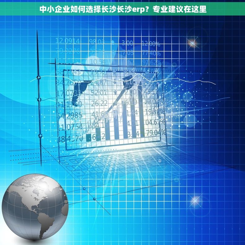 中小企业如何选择长沙长沙erp？专业建议在这里