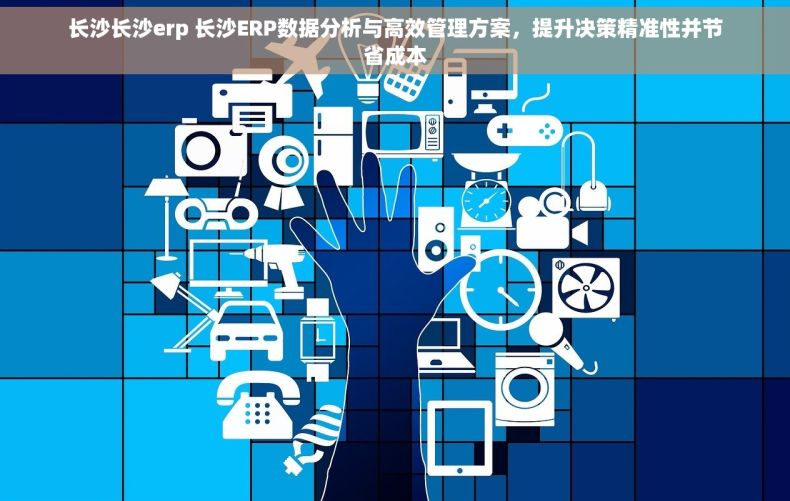 长沙长沙erp 长沙ERP数据分析与高效管理方案，提升决策精准性并节省成本
