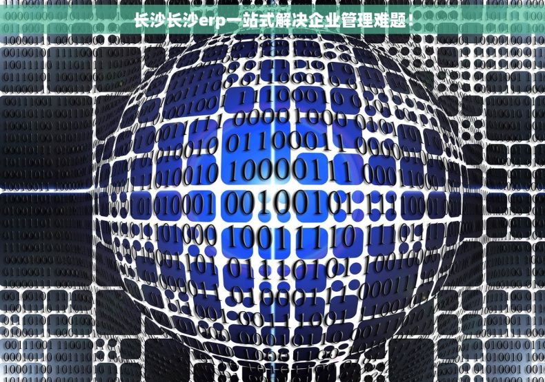 长沙长沙erp一站式解决企业管理难题！