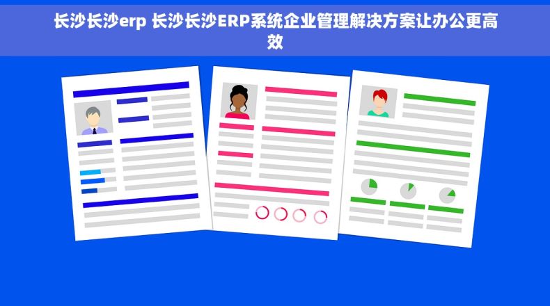 长沙长沙erp 长沙长沙ERP系统企业管理解决方案让办公更高效