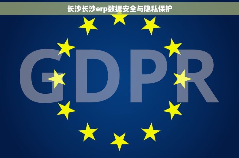 长沙长沙erp数据安全与隐私保护