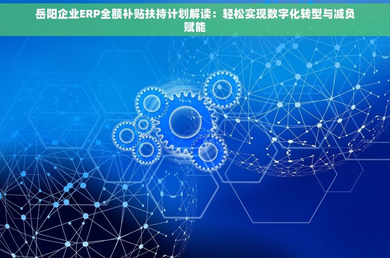 岳阳企业ERP全额补贴扶持计划解读：轻松实现数字化转型与减负赋能