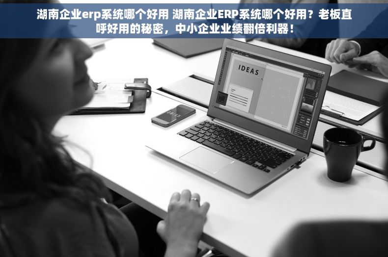 湖南企业erp系统哪个好用 湖南企业ERP系统哪个好用？老板直呼好用的秘密，中小企业业绩翻倍利器！