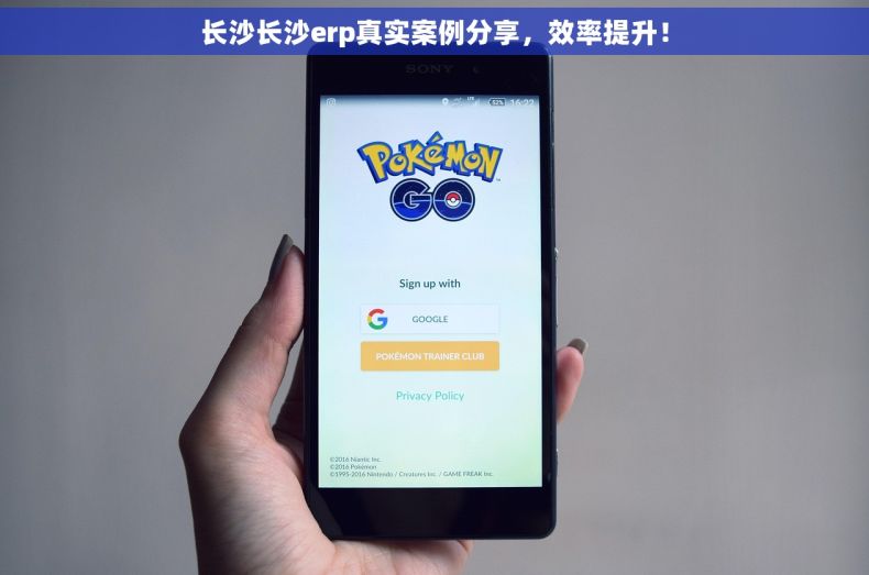 长沙长沙erp真实案例分享，效率提升！