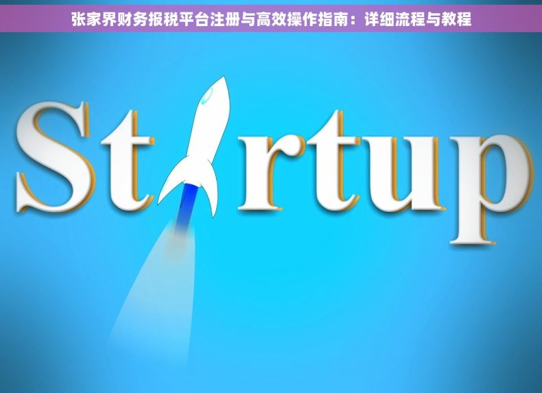 张家界财务报税平台注册与高效操作指南：详细流程与教程