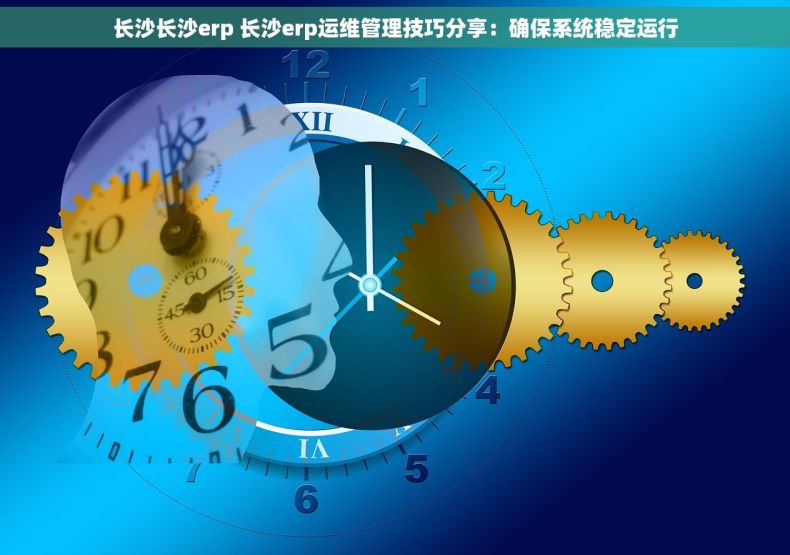 长沙长沙erp 长沙erp运维管理技巧分享：确保系统稳定运行