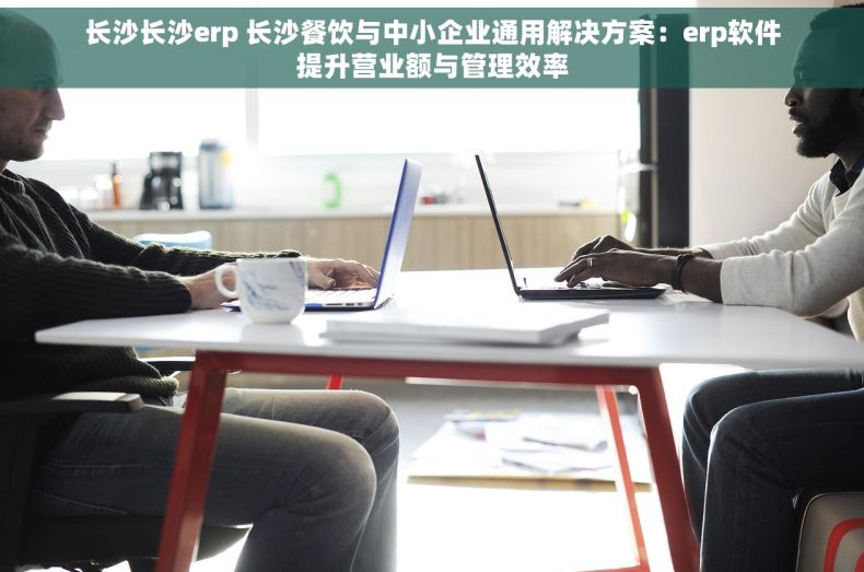 长沙长沙erp 长沙餐饮与中小企业通用解决方案：erp软件提升营业额与管理效率
