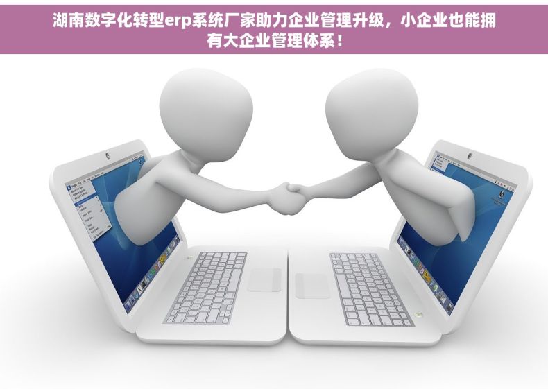 湖南数字化转型erp系统厂家助力企业管理升级，小企业也能拥有大企业管理体系！