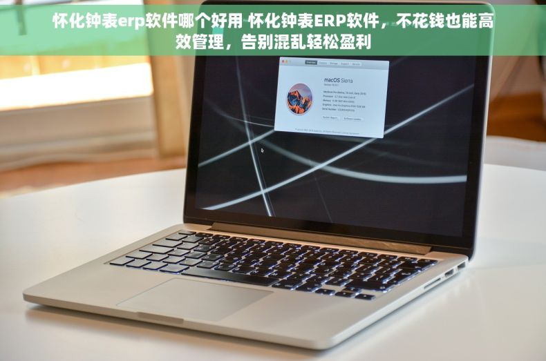 怀化钟表erp软件哪个好用 怀化钟表ERP软件，不花钱也能高效管理，告别混乱轻松盈利