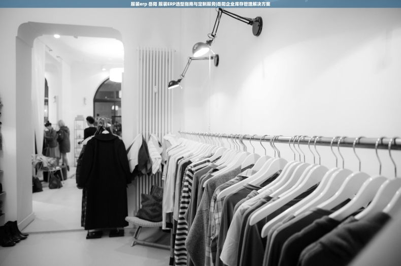 服装erp 岳阳 服装ERP选型指南与定制服务|岳阳企业库存管理解决方案