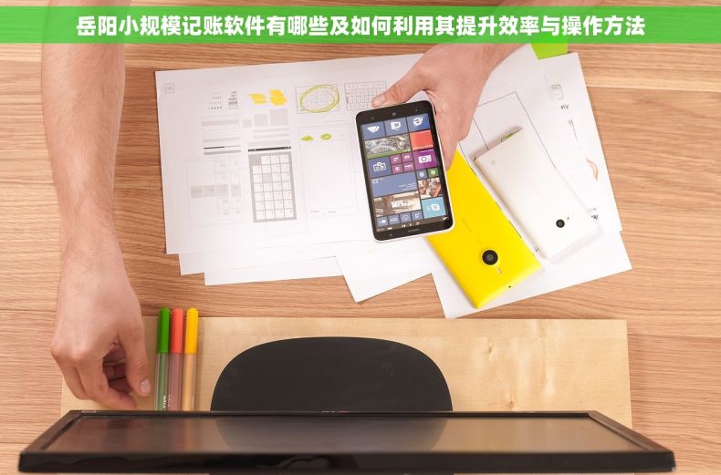 岳阳小规模记账软件有哪些及如何利用其提升效率与操作方法