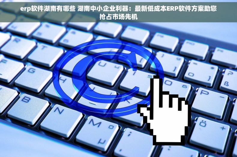 erp软件湖南有哪些 湖南中小企业利器：最新低成本ERP软件方案助您抢占市场先机