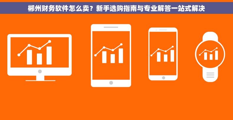 郴州财务软件怎么卖？新手选购指南与专业解答一站式解决
