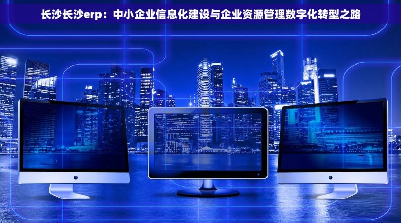 长沙长沙erp：中小企业信息化建设与企业资源管理数字化转型之路