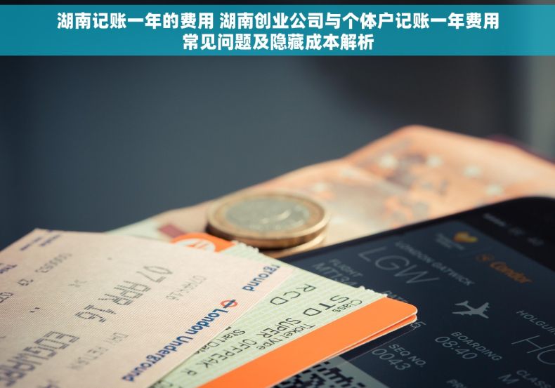 湖南记账一年的费用 湖南创业公司与个体户记账一年费用常见问题及隐藏成本解析