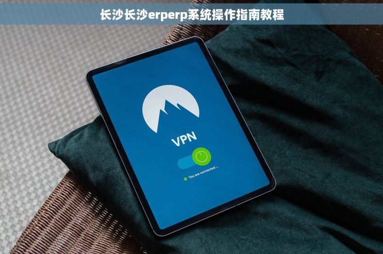 长沙长沙erperp系统操作指南教程