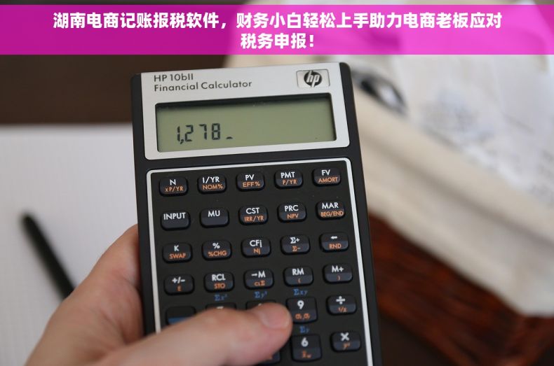 湖南电商记账报税软件，财务小白轻松上手助力电商老板应对税务申报！