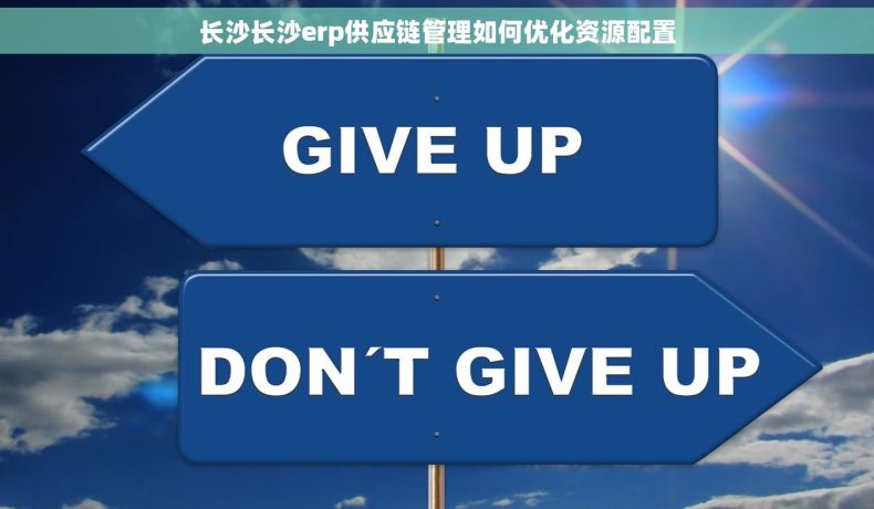 长沙长沙erp供应链管理如何优化资源配置