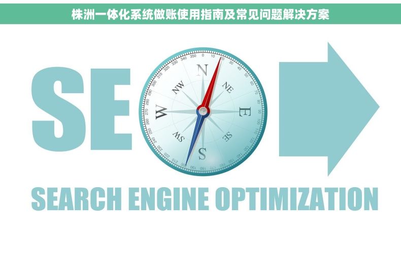 株洲一体化系统做账使用指南及常见问题解决方案