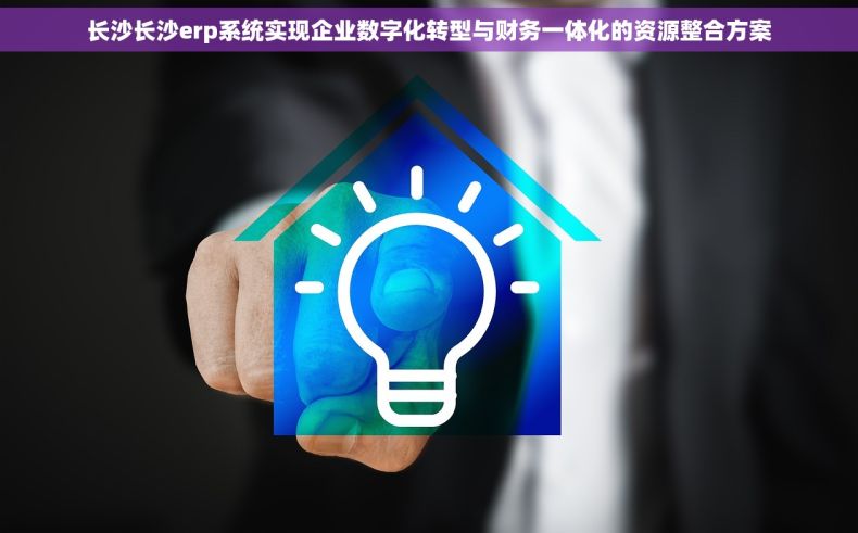 长沙长沙erp系统实现企业数字化转型与财务一体化的资源整合方案