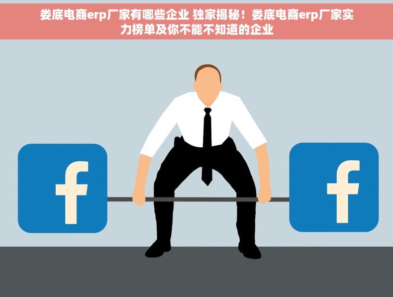 娄底电商erp厂家有哪些企业 独家揭秘！娄底电商erp厂家实力榜单及你不能不知道的企业