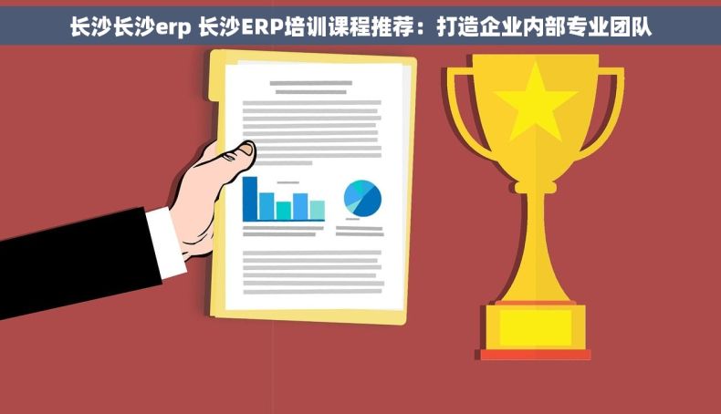 长沙长沙erp 长沙ERP培训课程推荐：打造企业内部专业团队