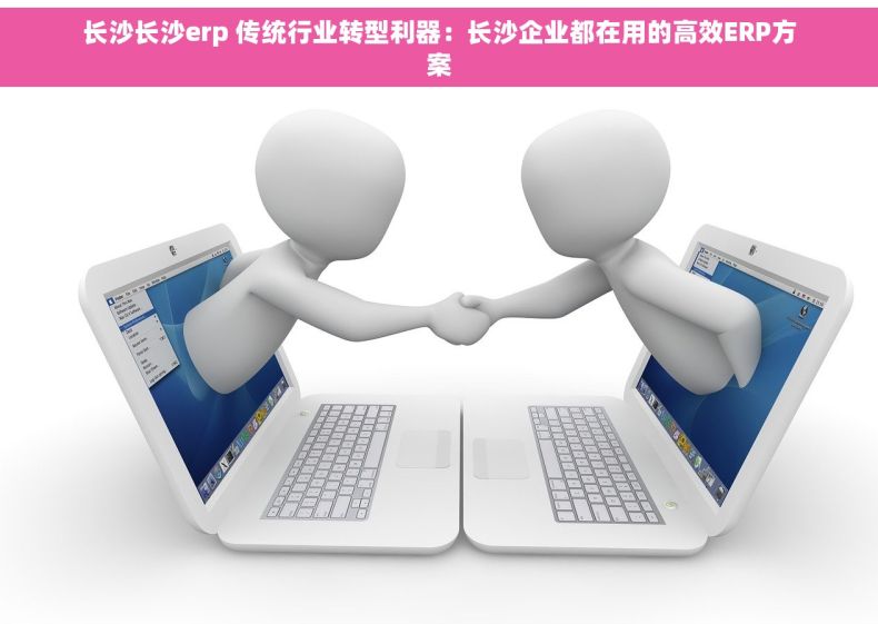 长沙长沙erp 传统行业转型利器：长沙企业都在用的高效ERP方案