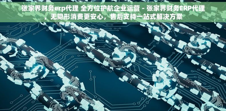 张家界财务erp代理 全方位护航企业运营 - 张家界财务ERP代理，无隐形消费更安心，售后支持一站式解决方案