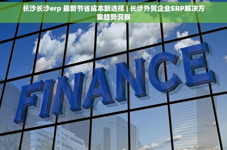 长沙长沙erp 最新节省成本新选择 | 长沙外贸企业ERP解决方案趋势洞察