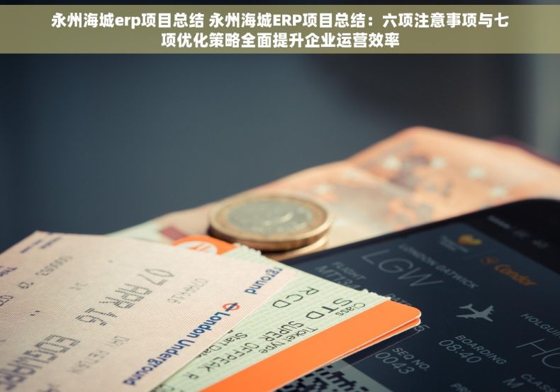 永州海城erp项目总结 永州海城ERP项目总结：六项注意事项与七项优化策略全面提升企业运营效率