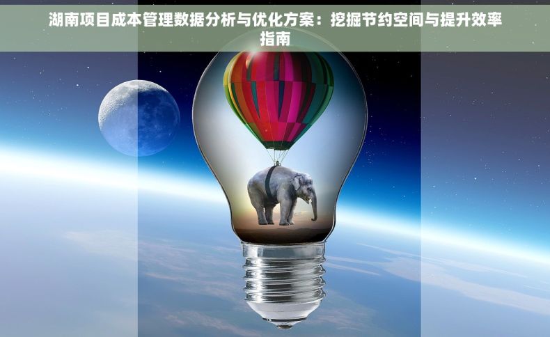 湖南项目成本管理数据分析与优化方案：挖掘节约空间与提升效率指南
