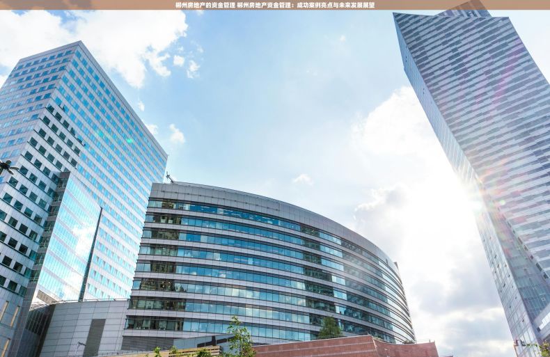 郴州房地产的资金管理 郴州房地产资金管理：成功案例亮点与未来发展展望