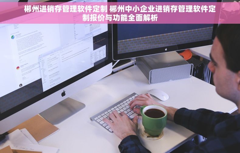 郴州进销存管理软件定制 郴州中小企业进销存管理软件定制报价与功能全面解析