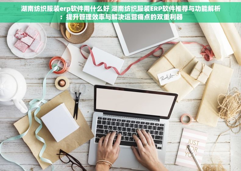 湖南纺织服装erp软件用什么好 湖南纺织服装ERP软件推荐与功能解析：提升管理效率与解决运营痛点的双重利器