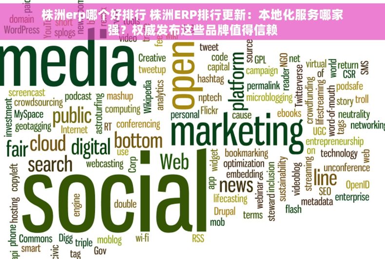 株洲erp哪个好排行 株洲ERP排行更新：本地化服务哪家强？权威发布这些品牌值得信赖