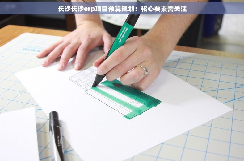 长沙长沙erp项目预算规划：核心要素需关注