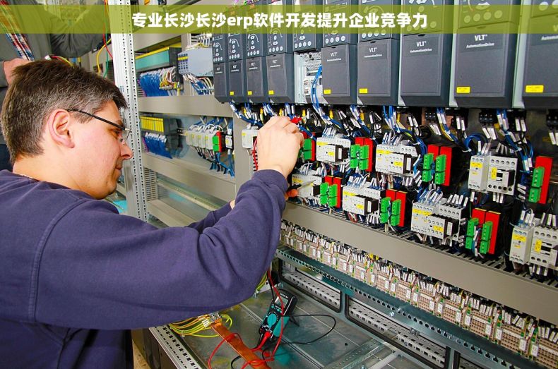专业长沙长沙erp软件开发提升企业竞争力