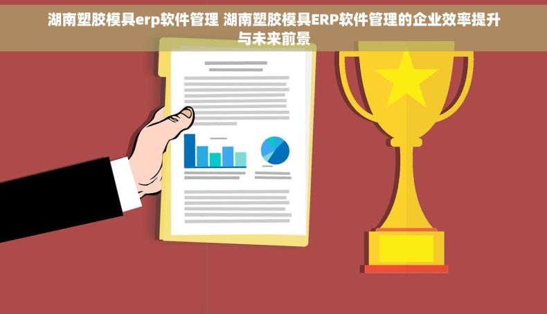 湖南塑胶模具erp软件管理 湖南塑胶模具ERP软件管理的企业效率提升与未来前景