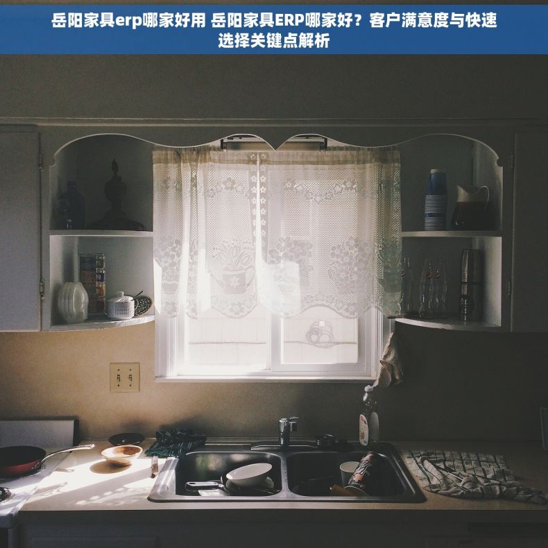 岳阳家具erp哪家好用 岳阳家具ERP哪家好？客户满意度与快速选择关键点解析