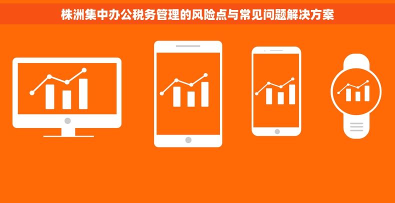 株洲集中办公税务管理的风险点与常见问题解决方案