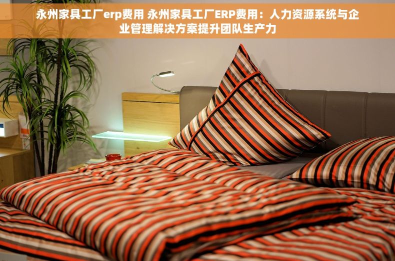 永州家具工厂erp费用 永州家具工厂ERP费用：人力资源系统与企业管理解决方案提升团队生产力